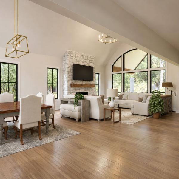 Family room and dining room