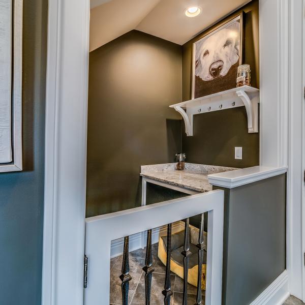 Dog Zone